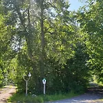 Gasthof Sternhaus-harz *