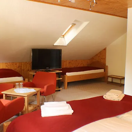 Värdshus Sternhaus-harz *