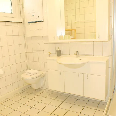 Sternhaus-harz