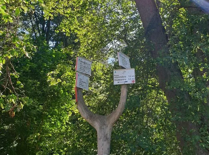 Värdshus Sternhaus-harz Gernrode (Saxony-Anhalt)
