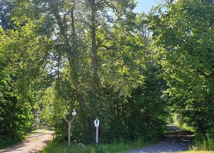 Locanda Sternhaus-harz *